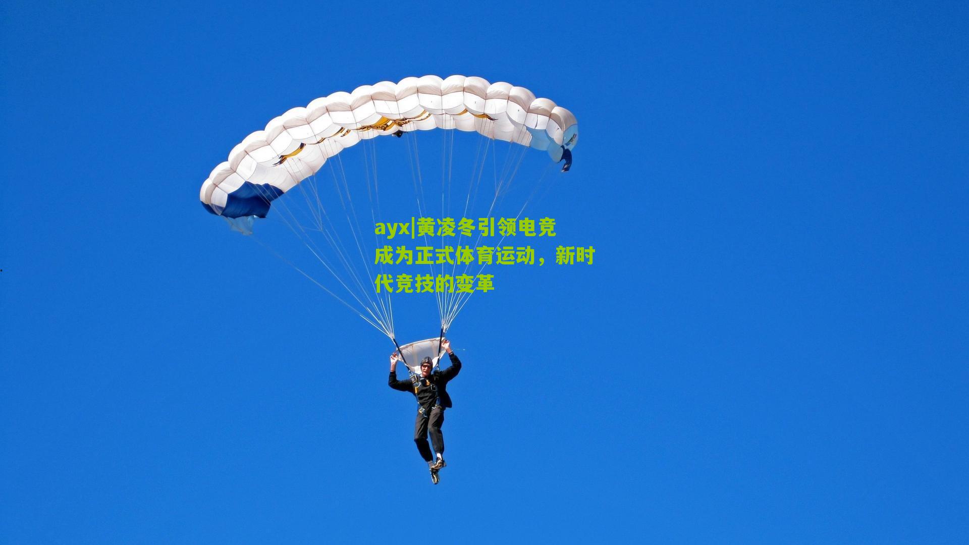 ayx|黄凌冬引领电竞成为正式体育运动，新时代竞技的变革-第2张图片-爱游戏-爱游戏体育_爱游戏(AYX)官方网站-AI YOU XI