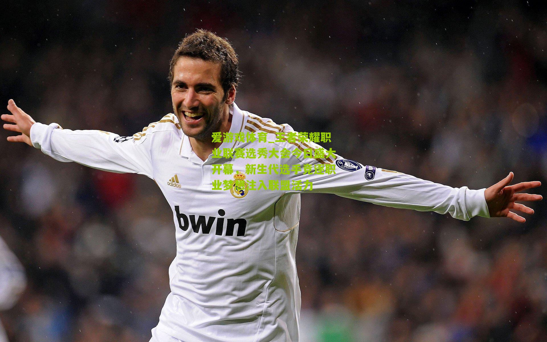 爱游戏体育_王者荣耀职业联赛选秀大会今日盛大开幕，新生代选手竞逐职业梦想注入联盟活力-第1张图片-爱游戏-爱游戏体育_爱游戏(AYX)官方网站-AI YOU XI